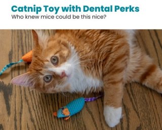 Petstages Myszki bliźniaczki z kocimiętką PS327