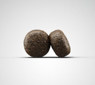 Josera Exclusive SensiJunior 900g