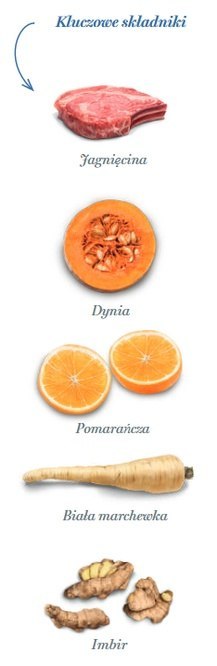 Amanova Dog Adult Sensitive Delicious Lamb - jagnięcina 2kg