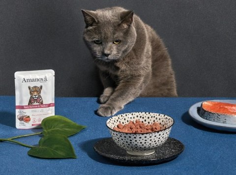 Amanova Cat Tasty Salmon & Turkey - łosoś i indyk saszetka 85g [P11]