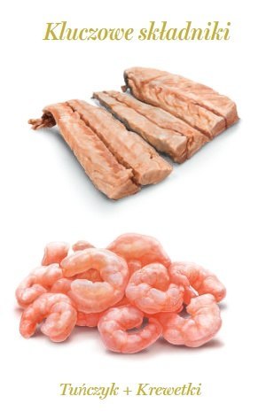 Amanova Cat Tuna & Shrimps - tuńczyk i krewetki w galaretce puszka 70g [10]