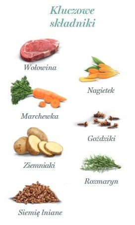 Amanova Dog Adult Irresistible Beef - wołowina saszetka 100g [P02]