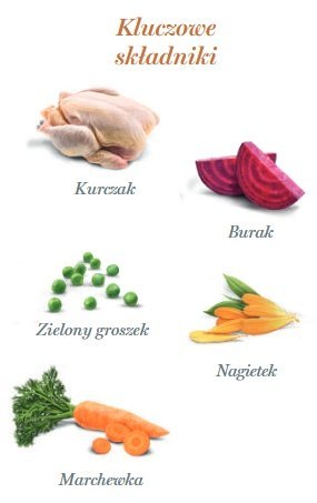 Amanova Dog Puppy Exquisite Chicken - kurczak saszetka 100g [P08]