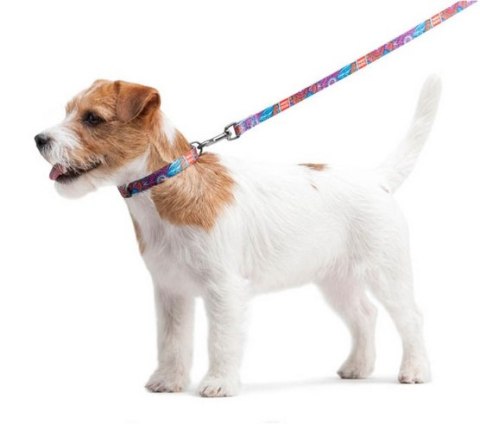 Collar WauDog Nylon Obroża nylonowa z QR-paszportem, plastikowy fastex, wzór LATO, 25mm/33-49cm