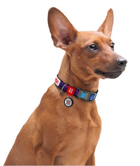 Collar WauDog Nylon Obroża nylonowa z QR-paszportem, plastikowy fastex, wzór NASA21, 20mm/28-40cm
