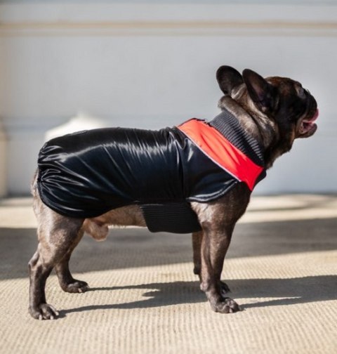 Chaba Ubranko regulowane Wear Magnifique XL czerwone