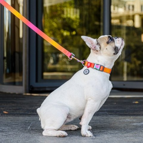 Collar WauDog Recycled Obroża nylonowa z QR-paszportem, gradient L 25mm/33-49cm pomarańczowy