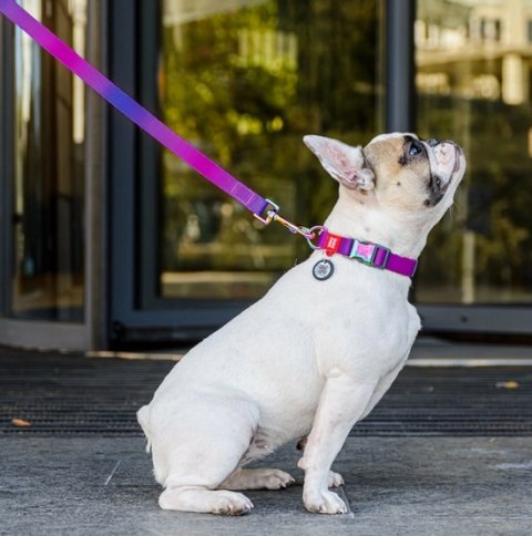 Collar WauDog Recycled Smycz nylonowa, gradient S 15mm/122cm fioletowy