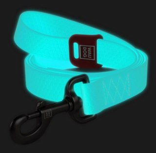 Collar WauDog Waterproof Smycz wodoodporna akumulująca światło M 20mm/183cm