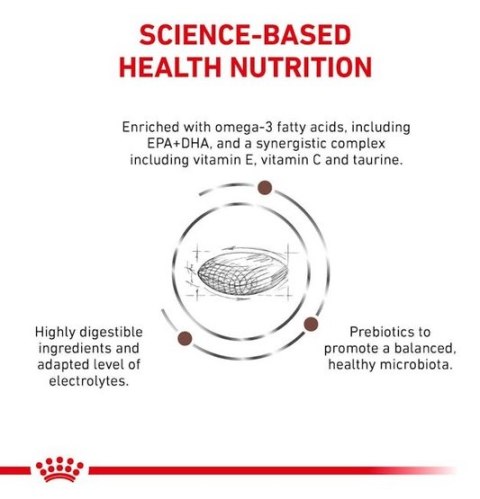 Royal Canin Veterinary Diet Canine Gastrointestinal Low Fat Small 1,5kg