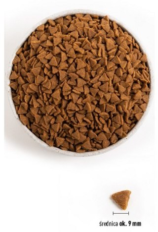 Acana Indoor Entree Cat & Kitten 340g